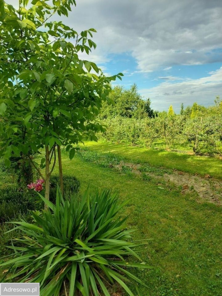 Działka budowlana Modliszewice. Zdjęcie 5