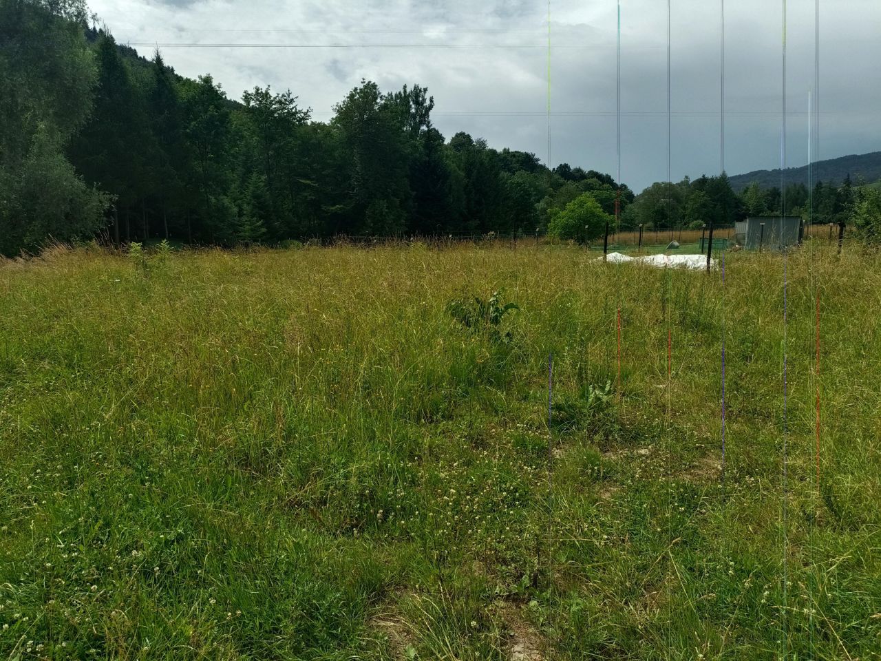 Działka budowlana Łosie Na Szlabancie. Zdjęcie 4