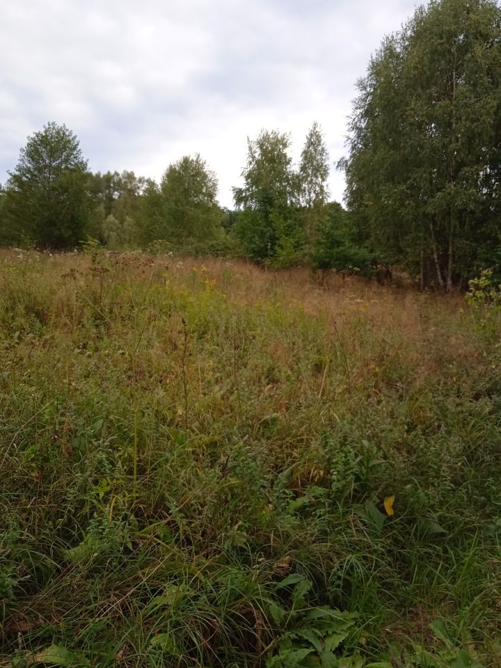 Działka budowlana Błędowa Tyczyńska. Zdjęcie 2