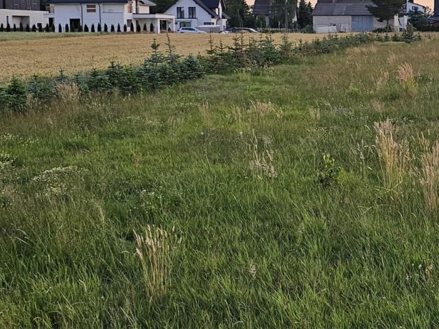 Działka budowlana Lisów. Zdjęcie 1