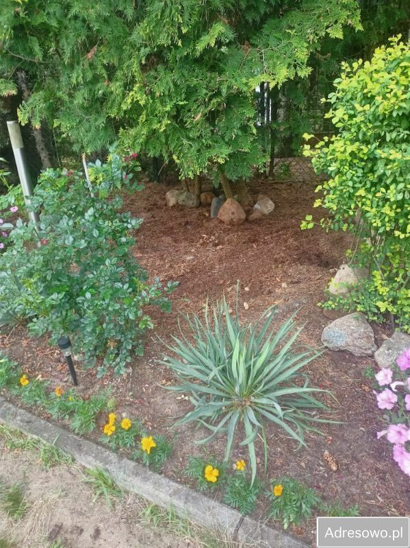 Działka rod Niewodnica Kościelna, ul. Działkowców. Zdjęcie 8