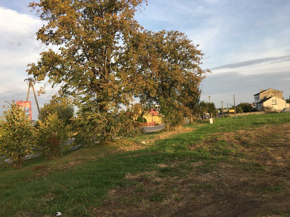 Działka budowlana Modliszewice. Zdjęcie 4