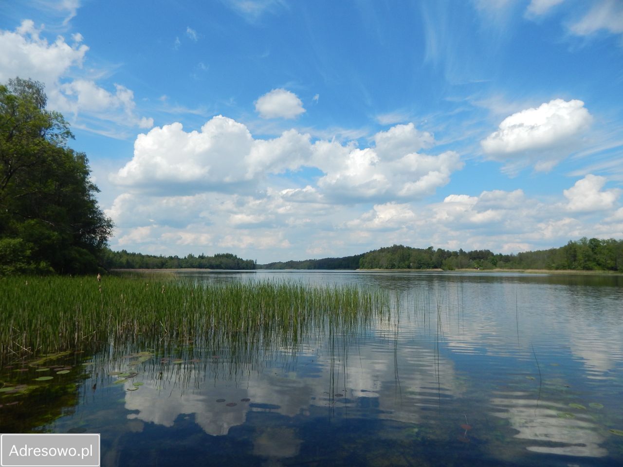 dom wolnostojący, 5 pokoi Płociczno, ul. Żurawia. Zdjęcie 5