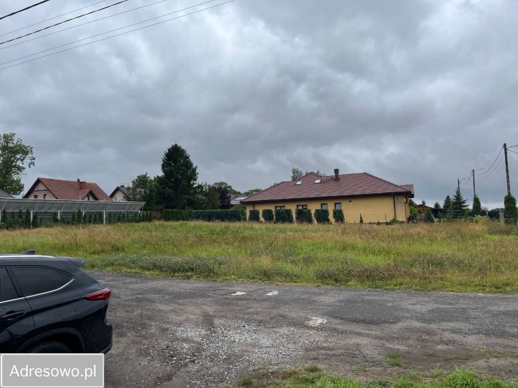 Działka Srocza Góra. Zdjęcie 5