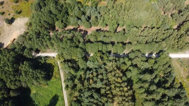 Działka budowlana Żanęcin, ul. Gościniec. Zdjęcie 12