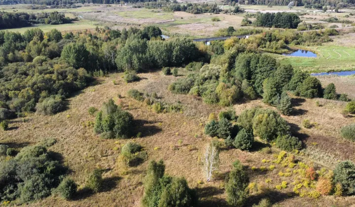 Działka rolna Wasilków, ul. Nadawki