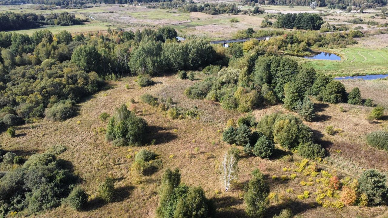 Działka rolna Wasilków, ul. Nadawki