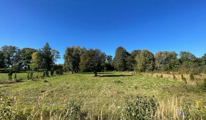 Działka budowlana Niewiastowo