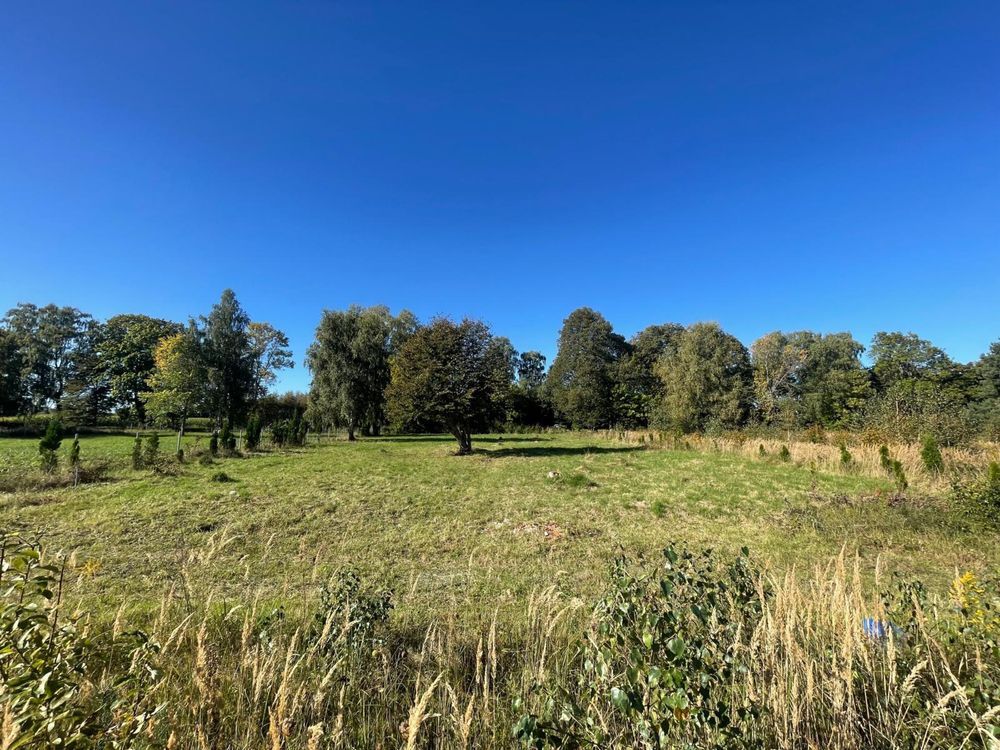 Działka budowlana Niewiastowo. Zdjęcie 1