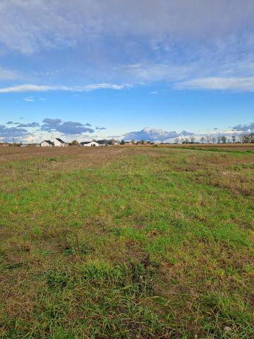 Działka budowlana Rusiborek. Zdjęcie 1