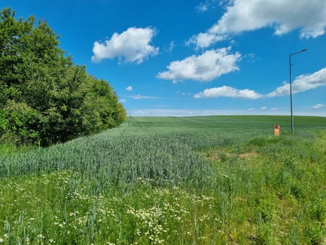 Działka budowlana Oborniki Śląskie, ul. Wolności. Zdjęcie 1