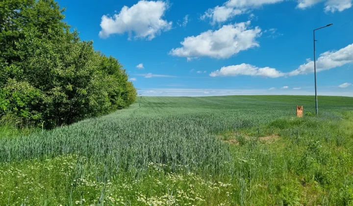 Działka budowlana Oborniki Śląskie, ul. Wolności
