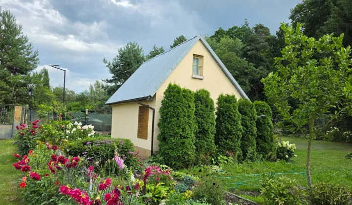Działka rod Radom, ul. Szydłowiecka