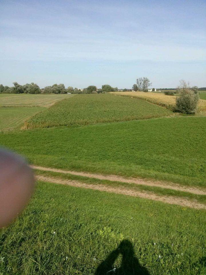 Działka rolna Łęg. Zdjęcie 3