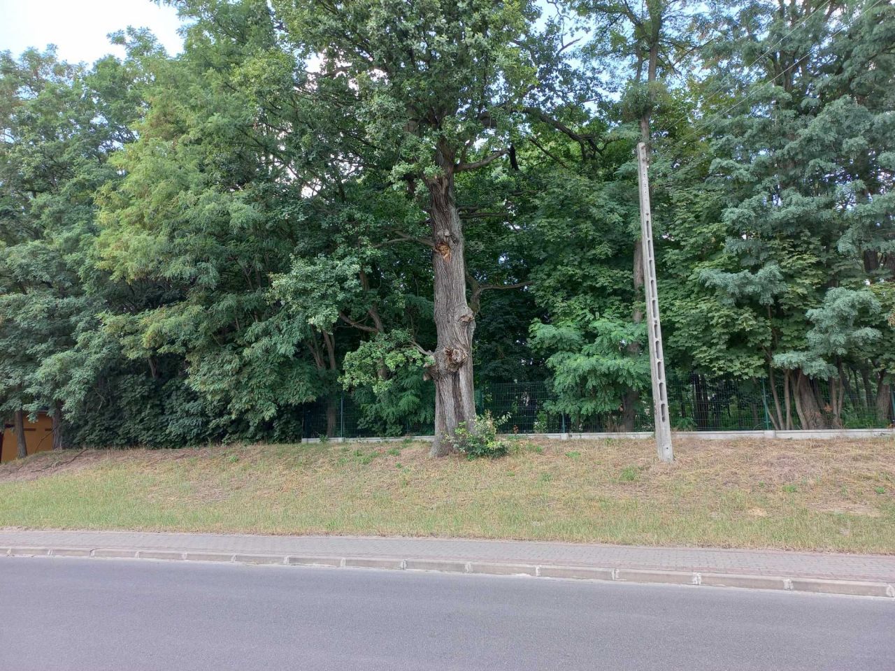 Działka budowlana Koło Kaliskie Przedmieście, ul. Jarosława Dąbrowskiego. Zdjęcie 8