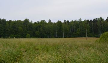 Działka na sprzedaż Żary Kunice Żarskie  5240 m2