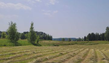 Działka rolna Dobra Wola