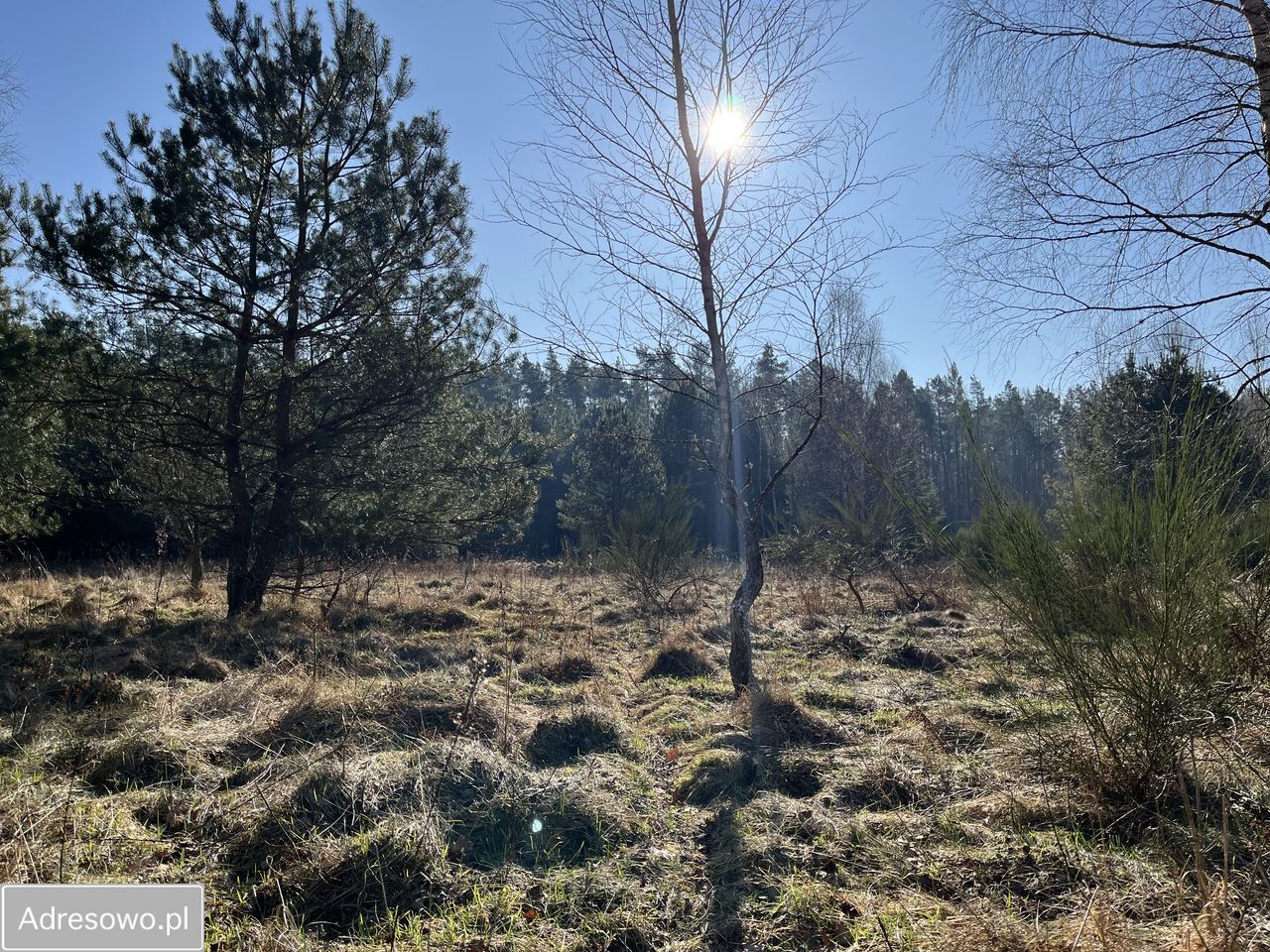 Działka rolno-budowlana Bukowa. Zdjęcie 7