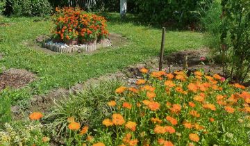 Działka rod Zielona Góra