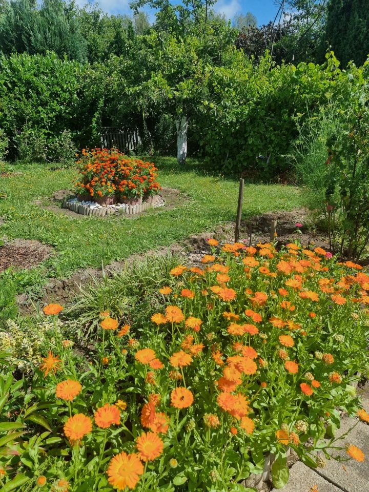 Działka rod Wilkanowo