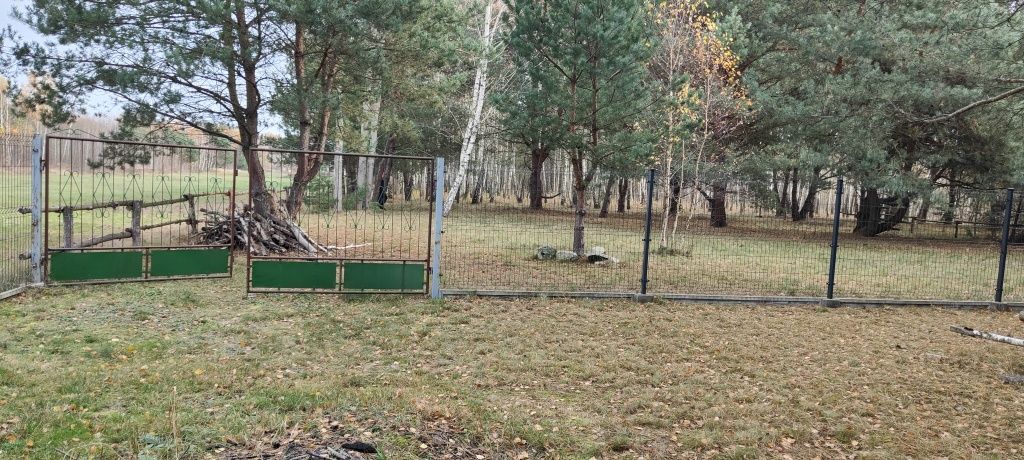 Działka rolno-budowlana Antoniew. Zdjęcie 4