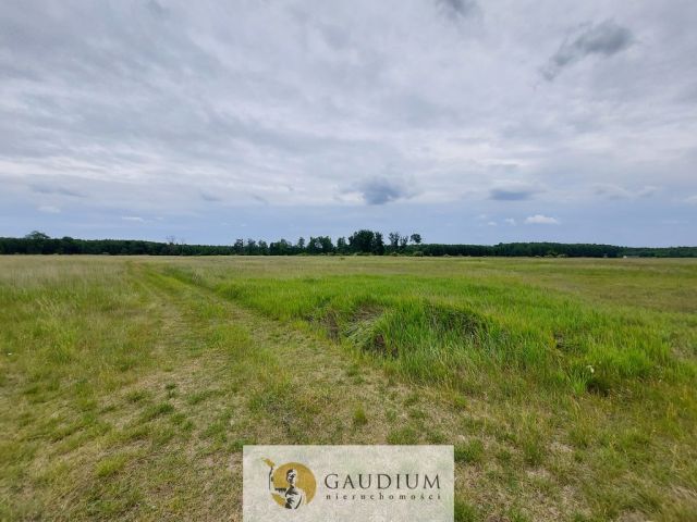 Działka Karszyn. Zdjęcie 14
