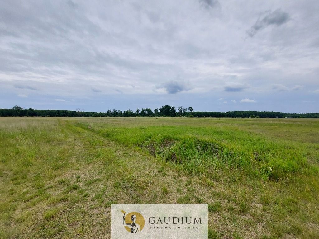 Działka Karszyn. Zdjęcie 14