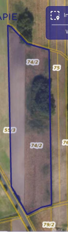 Działka rolna Zakrzewo. Zdjęcie 3