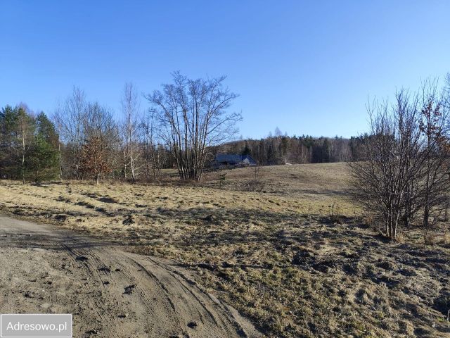 Działka rolna Ełganowo, ul. Świerkowa. Zdjęcie 1