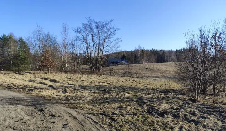 Działka rolna Ełganowo, ul. Świerkowa