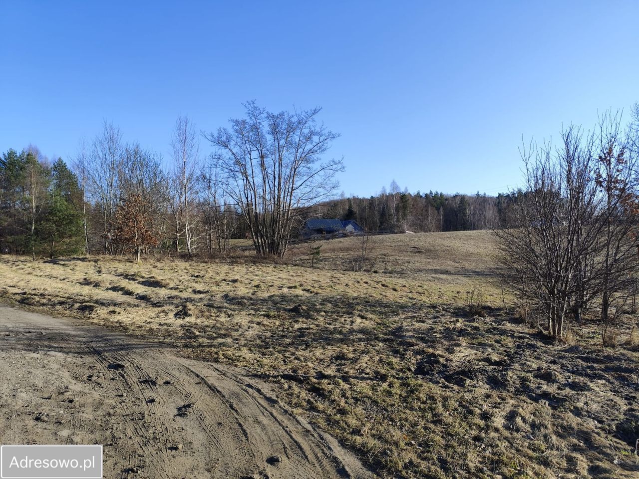 Działka rolna Ełganowo, ul. Świerkowa. Zdjęcie 1