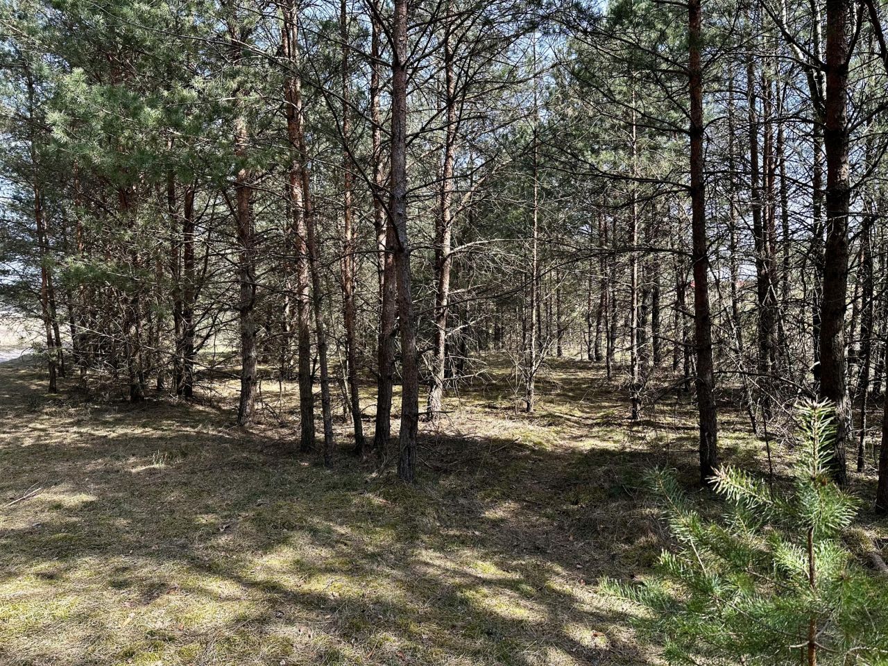 Działka budowlana Ocypel, ul. Wczasowa. Zdjęcie 5