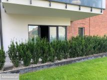 Mieszkanie 3-pokojowe Wieluń, ul. 18 Stycznia. Zdjęcie 2