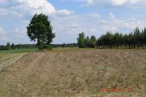 Działka rolna Słubice. Zdjęcie 4