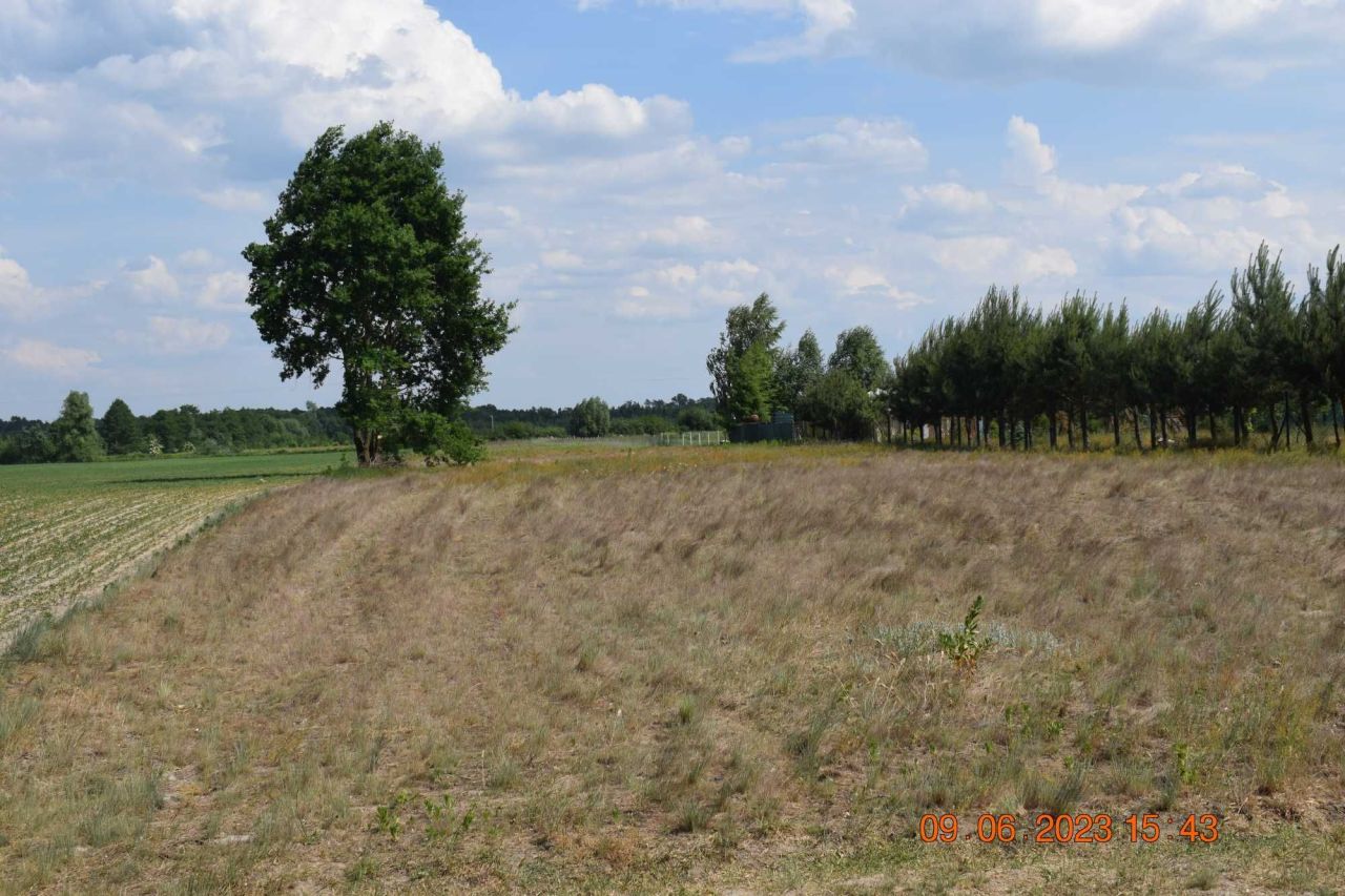 Działka rolna Słubice. Zdjęcie 5