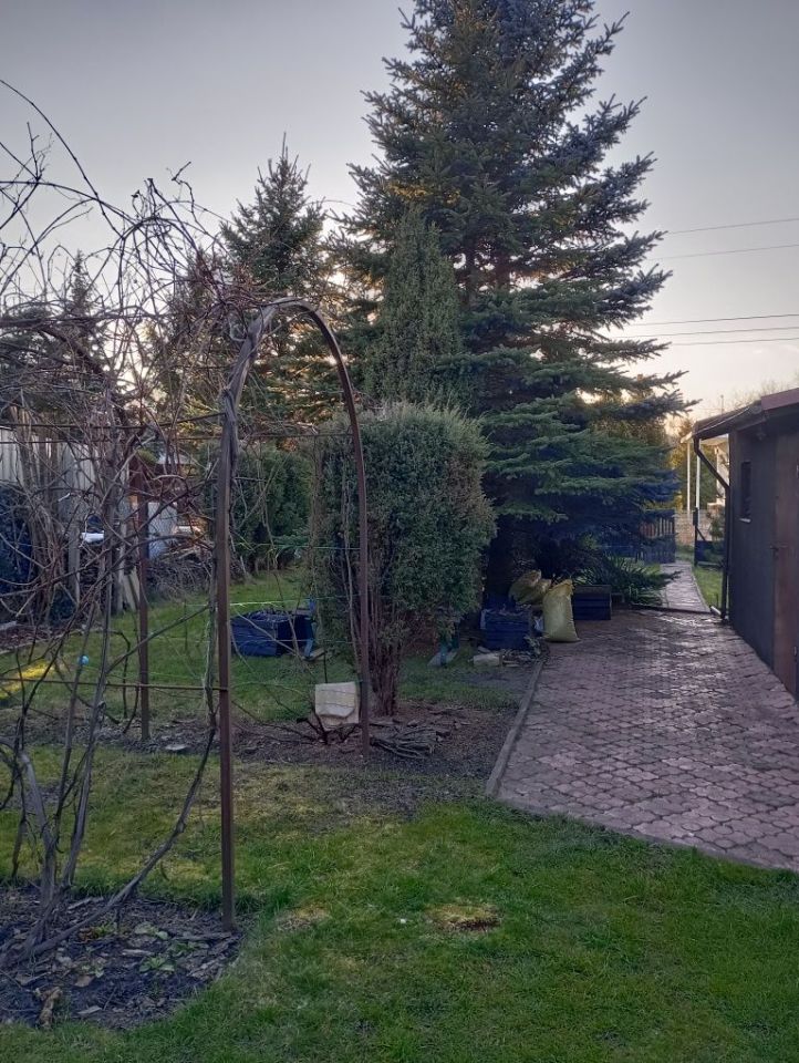 Działka rod Łódź Bałuty, ul. Pustynna. Zdjęcie 6