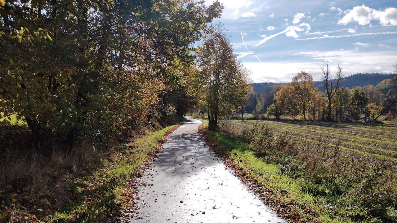 Działka rolno-budowlana Czasław. Zdjęcie 2
