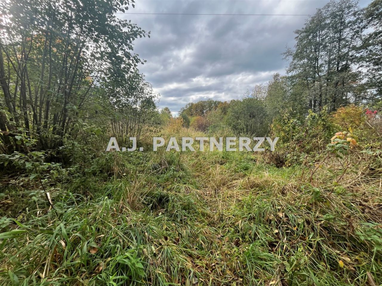 Działka budowlana Rożnowa. Zdjęcie 8