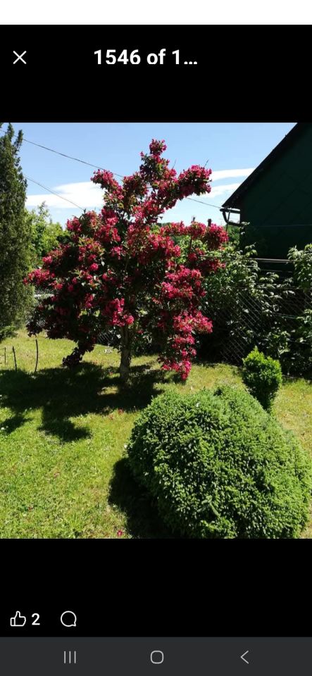 Działka rekreacyjna Jastrzębie-Zdrój Zofiówka, ul. Wojciecha Korfantego. Zdjęcie 5