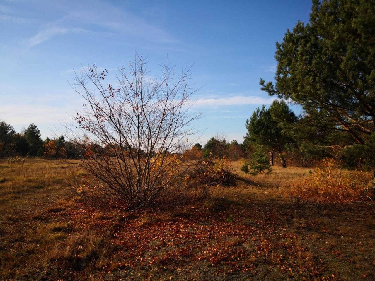 Działka budowlana Białe. Zdjęcie 4