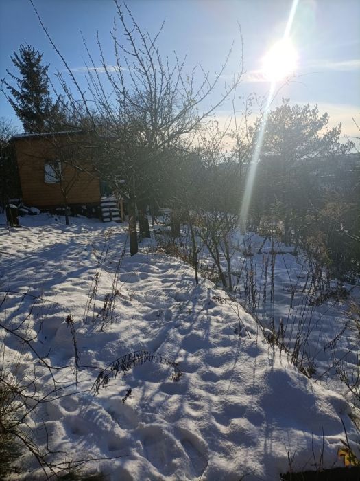 Działka rod Gdańsk Aniołki. Zdjęcie 8