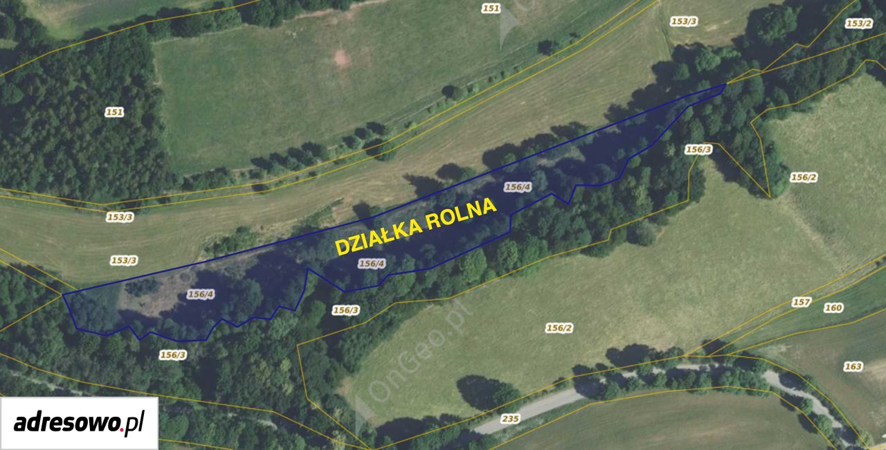 gospodarstwo, 12 pokoi Wojbórz. Zdjęcie 6