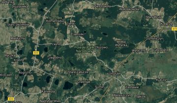 Działka leśna Babsk