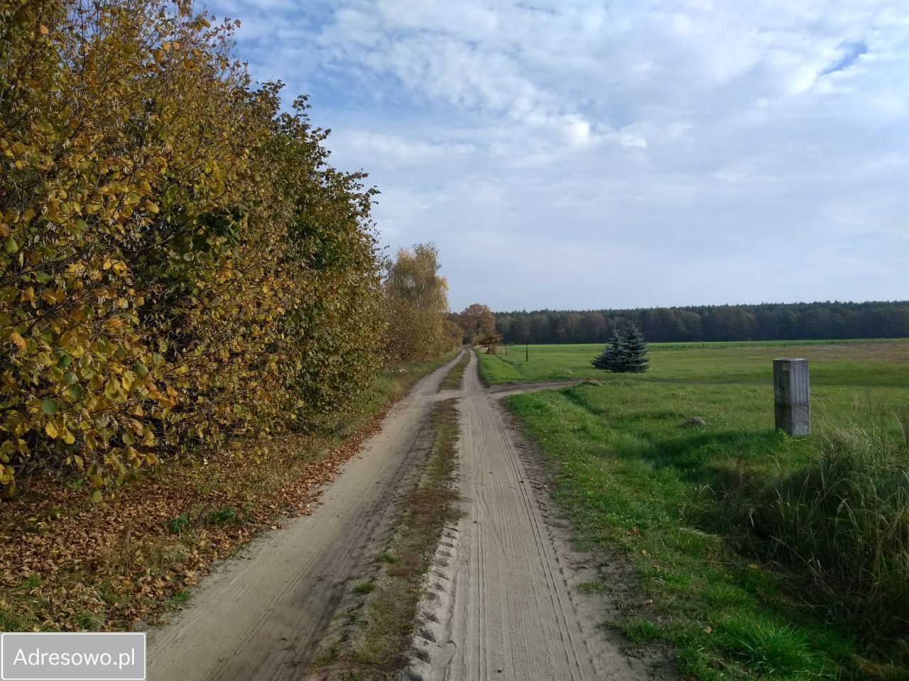 Działka budowlana Radziwiłłów. Zdjęcie 12