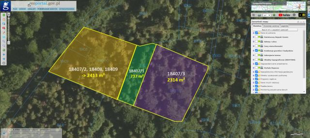 Działka leśna Zawoja Opaczne. Zdjęcie 1