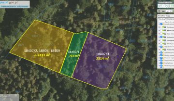 Działka leśna Zawoja Opaczne