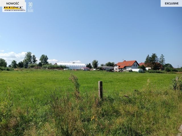 Działka budowlana Roby. Zdjęcie 1