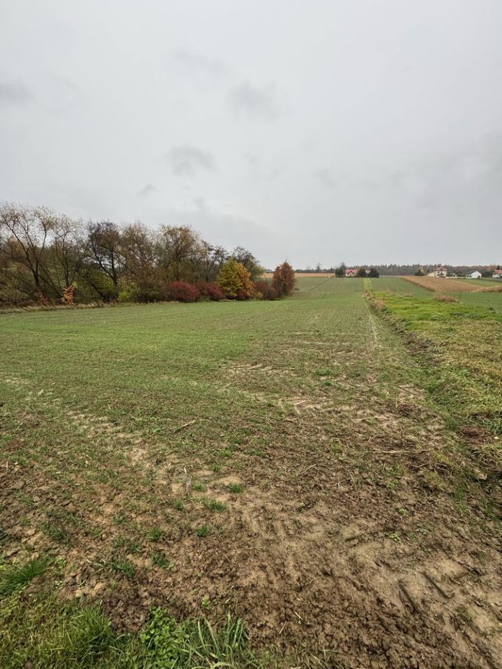 Działka rolna Stary Krasieniec. Zdjęcie 4