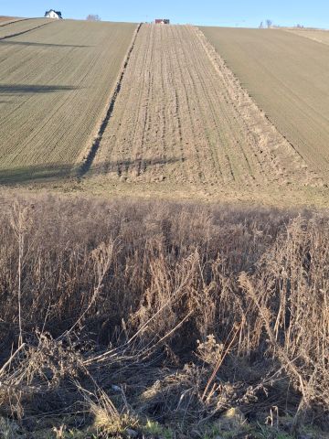 Działka budowlana Kozierów, ul. Lipowa. Zdjęcie 5