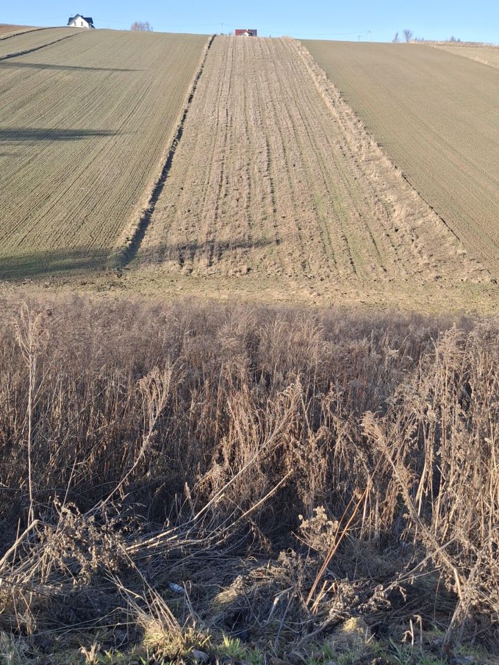 Działka budowlana Kozierów, ul. Lipowa. Zdjęcie 5